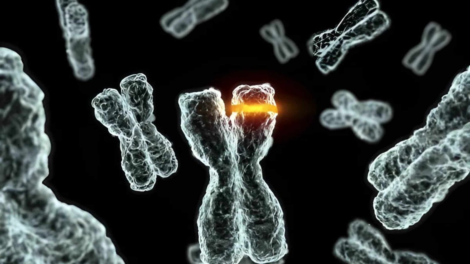 Google DeepMind and Yale Unveil 27B-Parameter AI Model That Identifies New Cancer Therapy Pathway