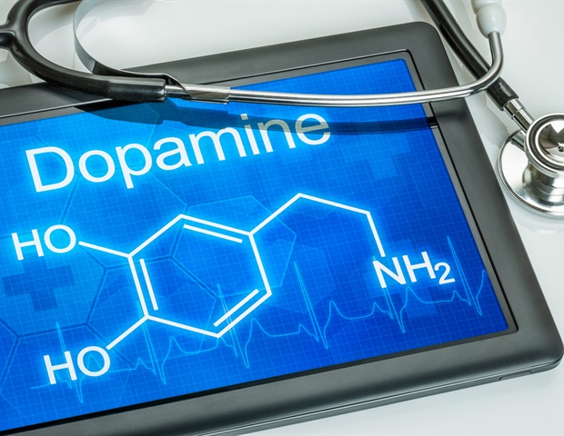 Precursor of dopamine increases willingness to wait for larger delayed rewards