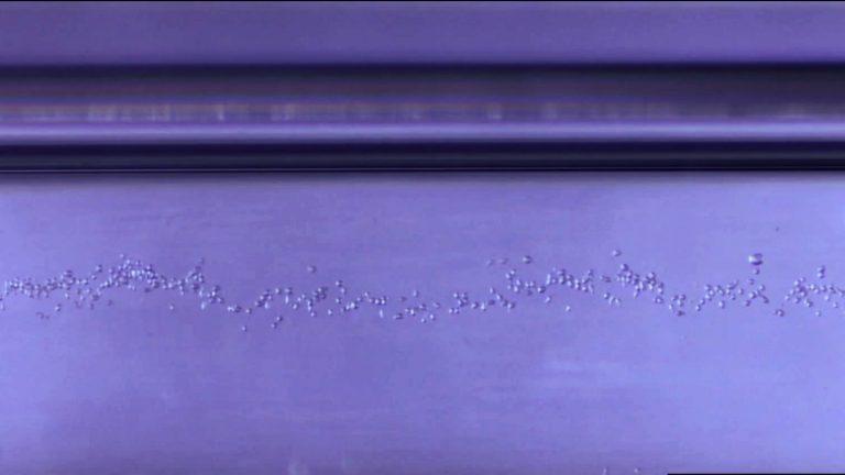 Scientists identify cells by seeing how high they levitate
