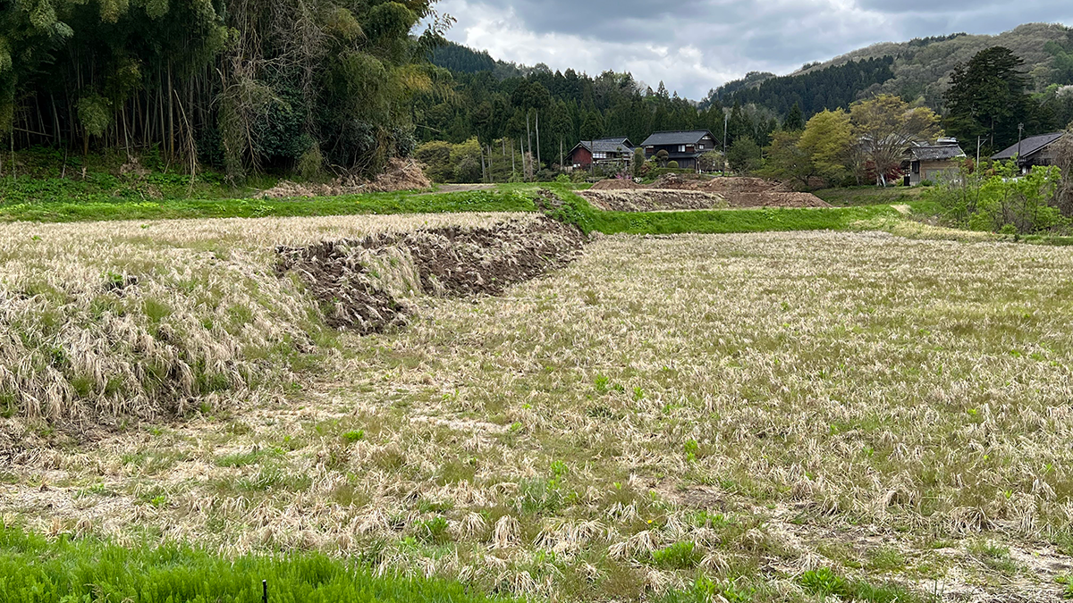 When the Earth Moves: 25 Years of Probabilistic Fault Displacement Hazards