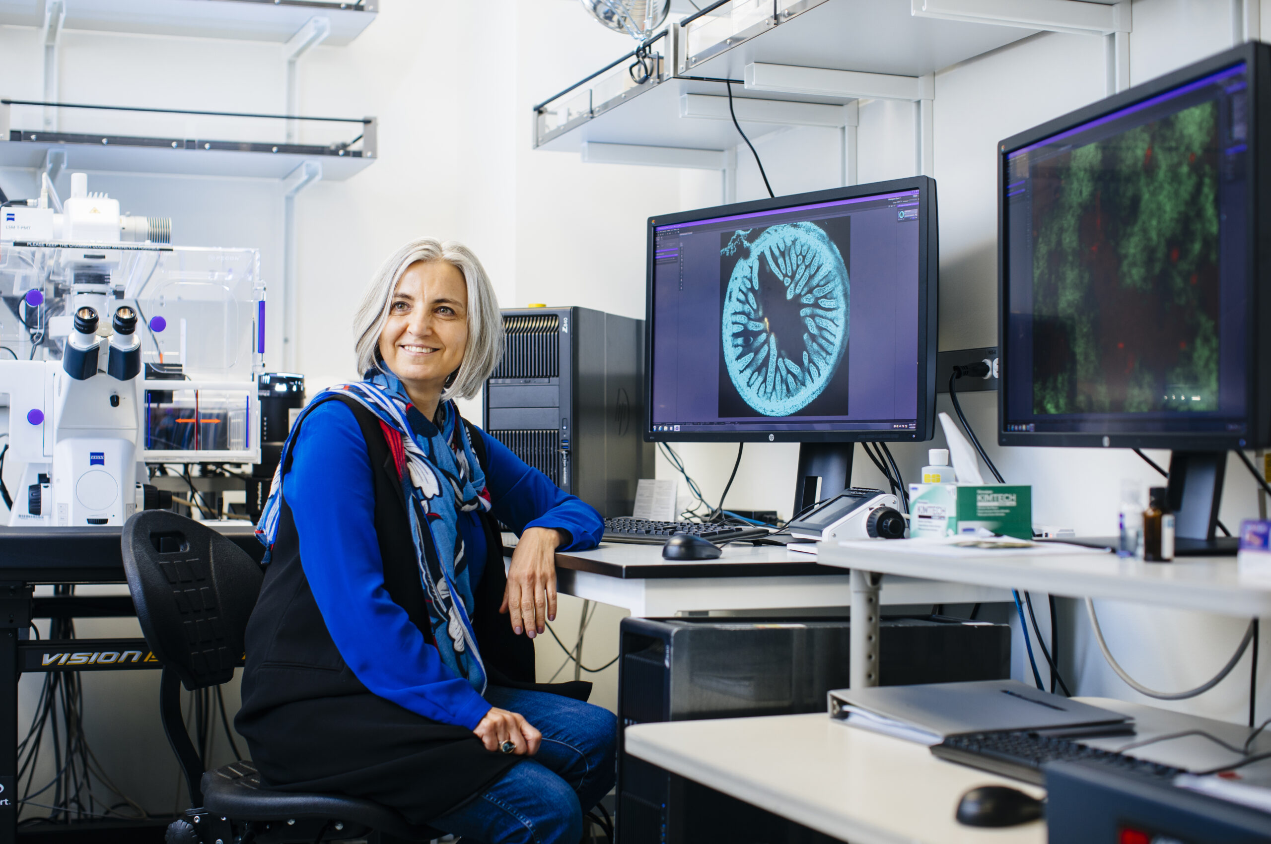 NIH awards Fitnat Yildiz $7.7 million to find new molecular paths for preventing cholera