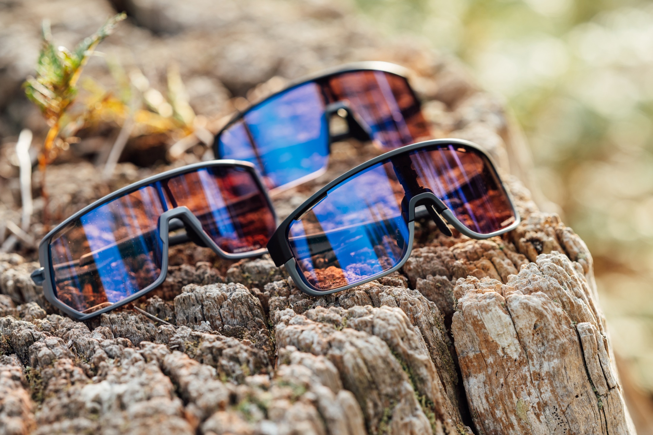 Fresh Produce | Three pairs of Shimano glasses with high-tech names