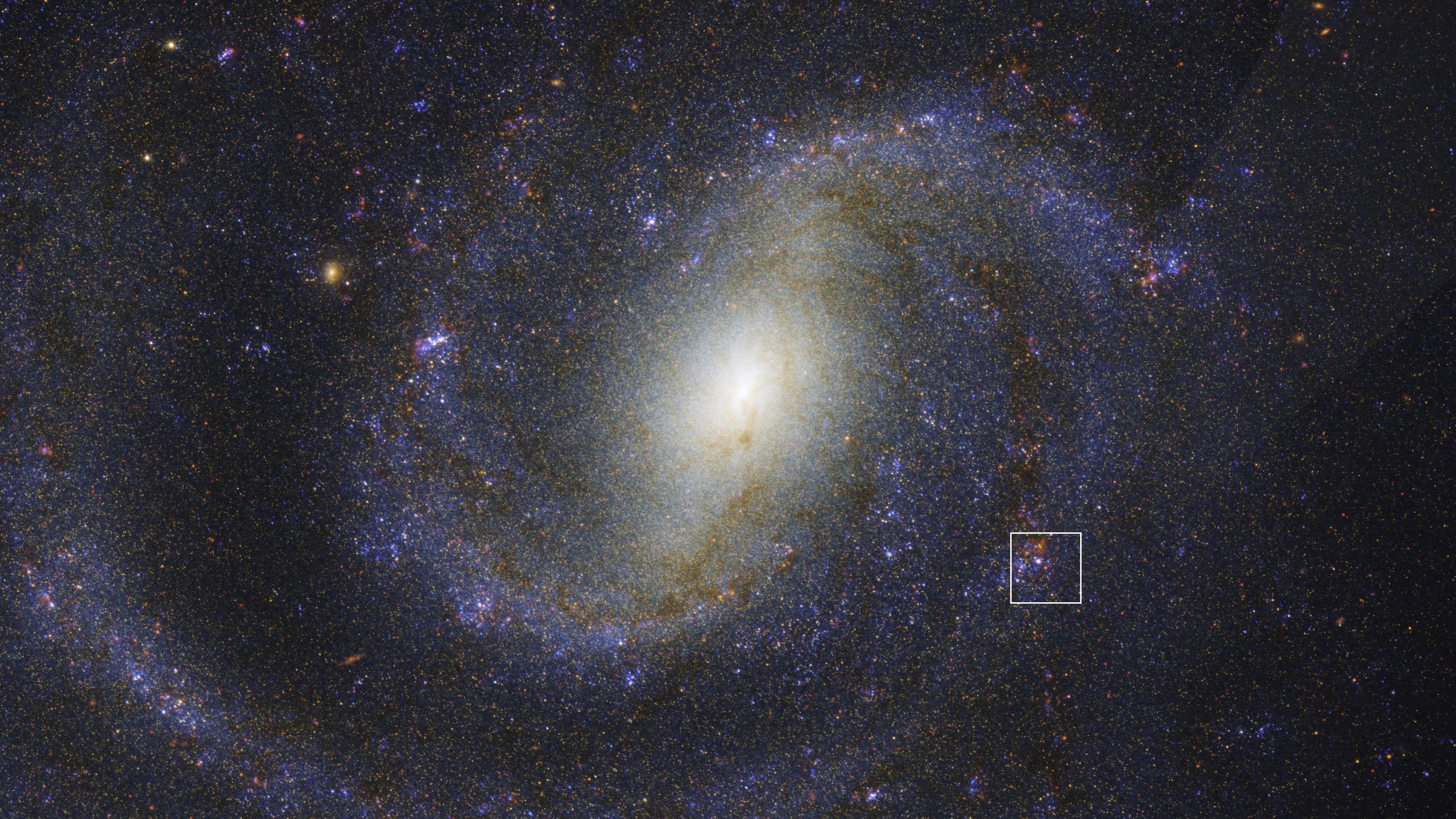 Hidden ‘doomed’ star revealed by James Webb Space Telescope could solve decades-old mystery
