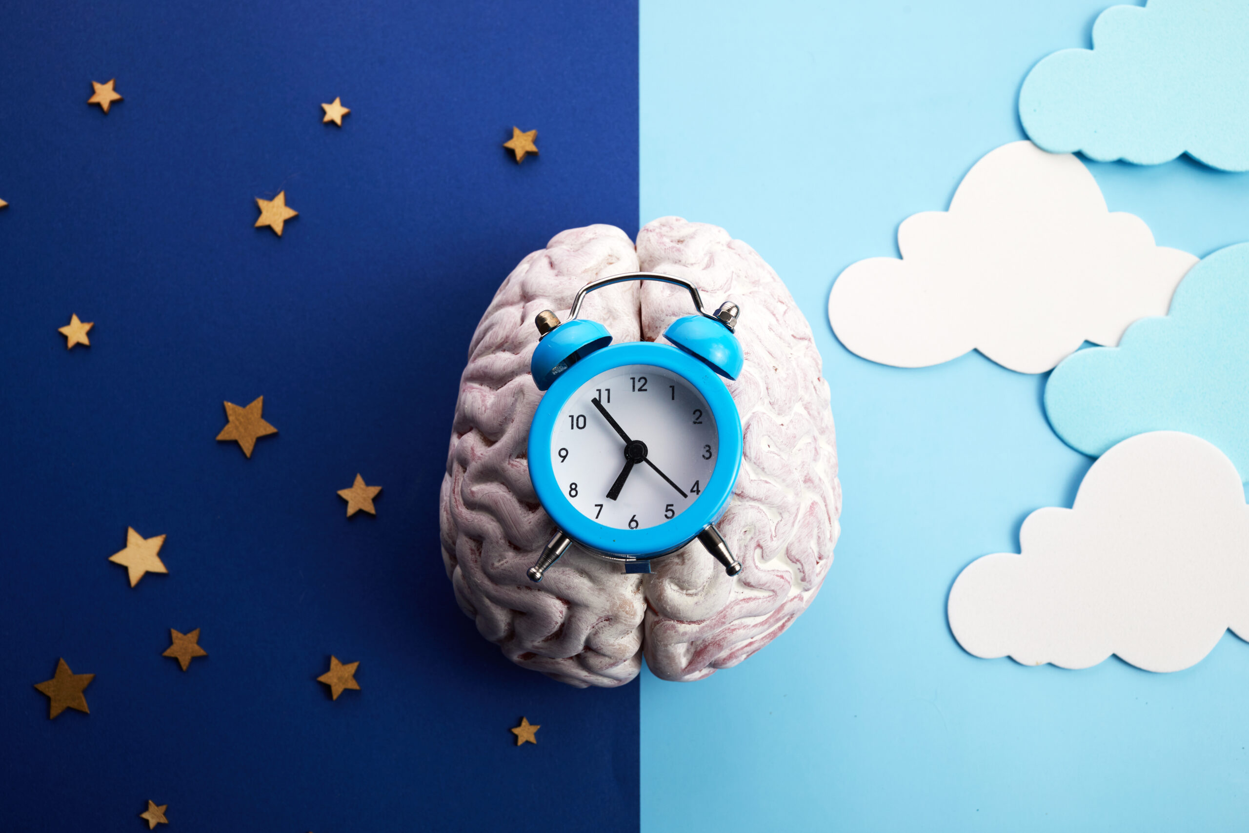 Alzheimer’s disrupts circadian rhythms of plaque-clearing brain cells – WashU Medicine
