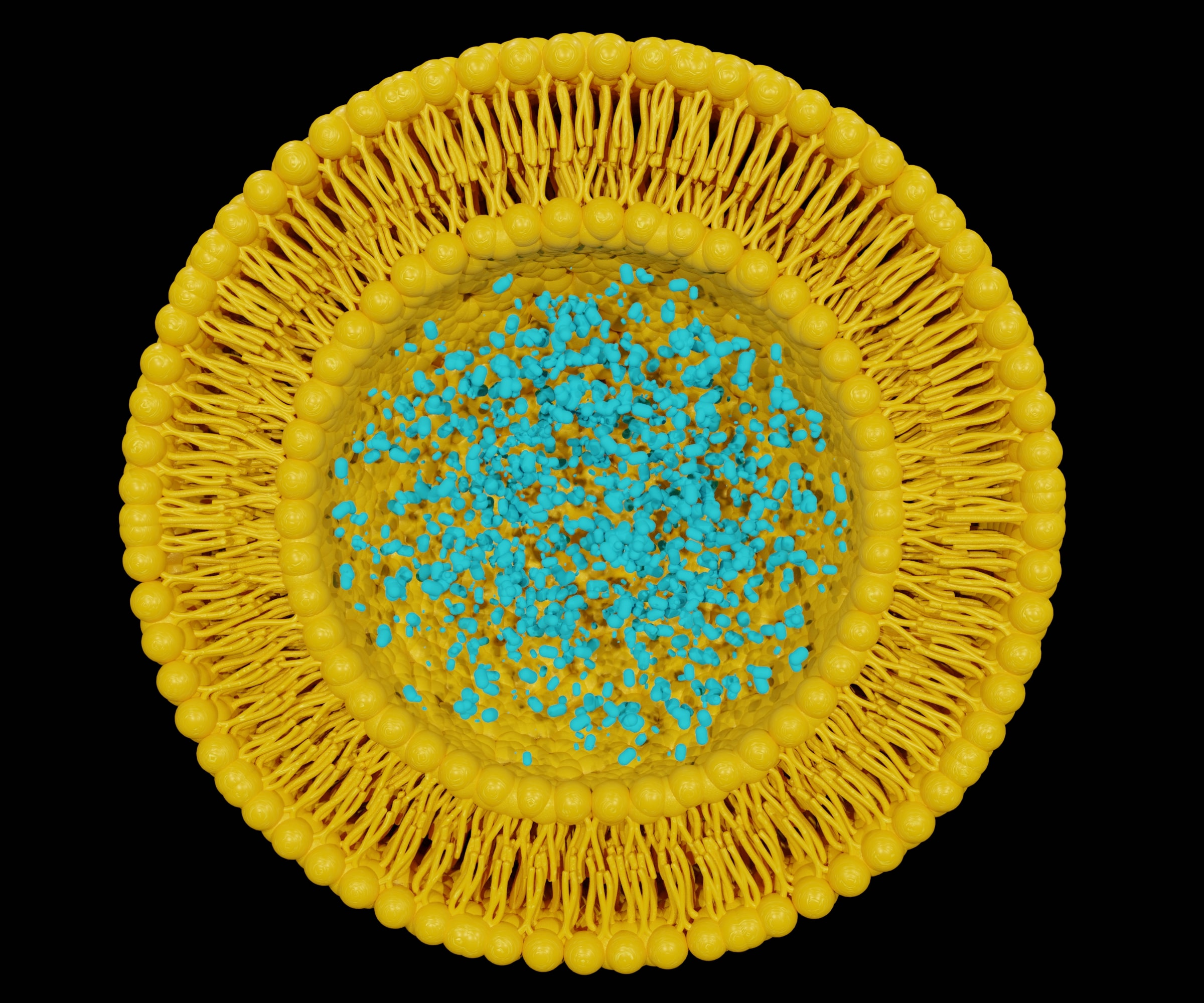 Targeted Drug Delivery Enhanced by Boolean Logic-Programmed Proteins