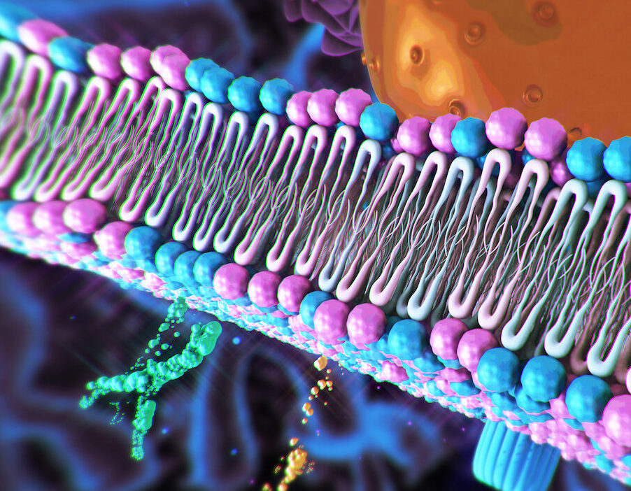 Therapeutic Targeting of Membrane Proteins Guided by Folding Principles