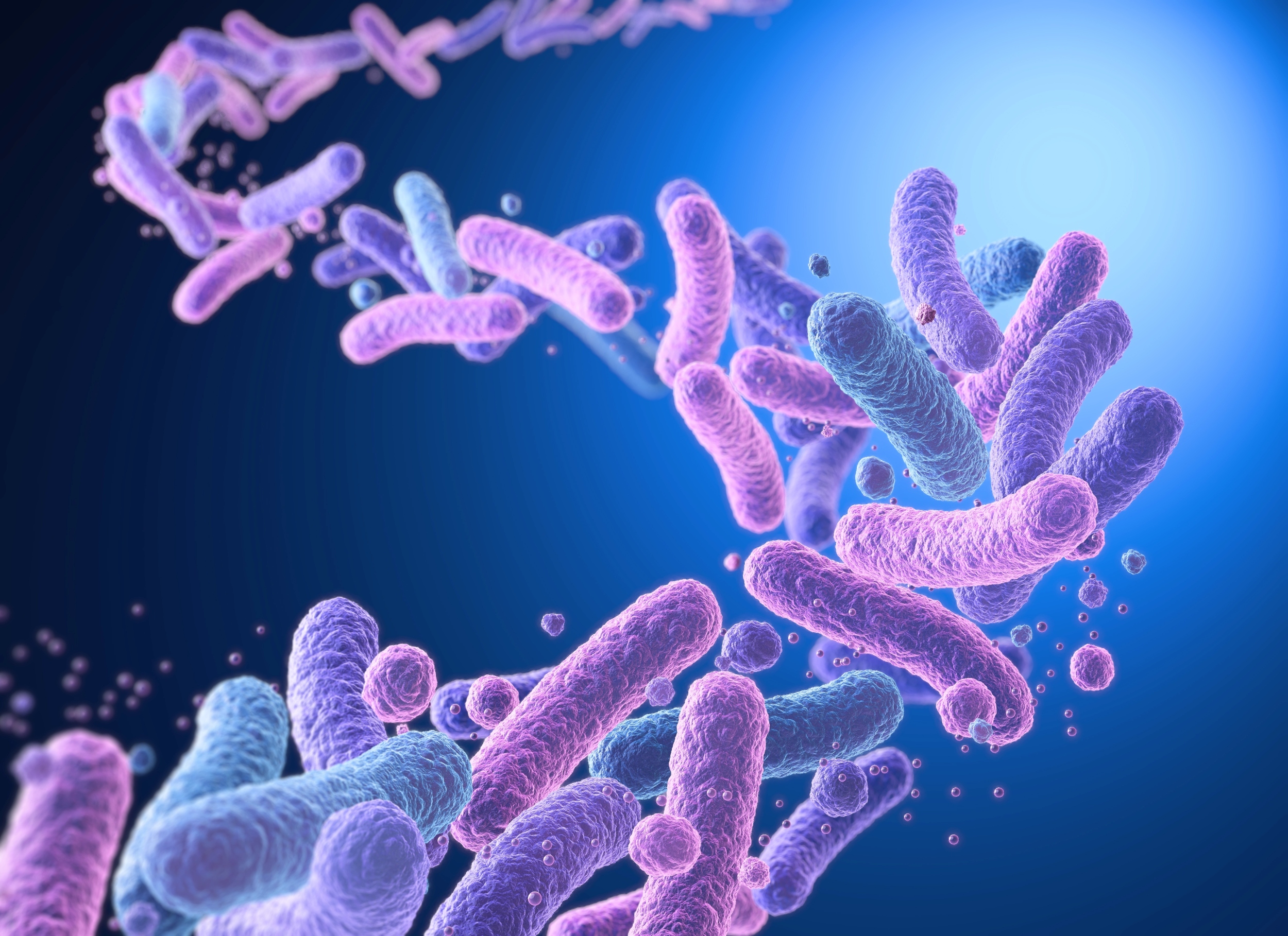 How gut bacteria learn and evolve – and shape your future health