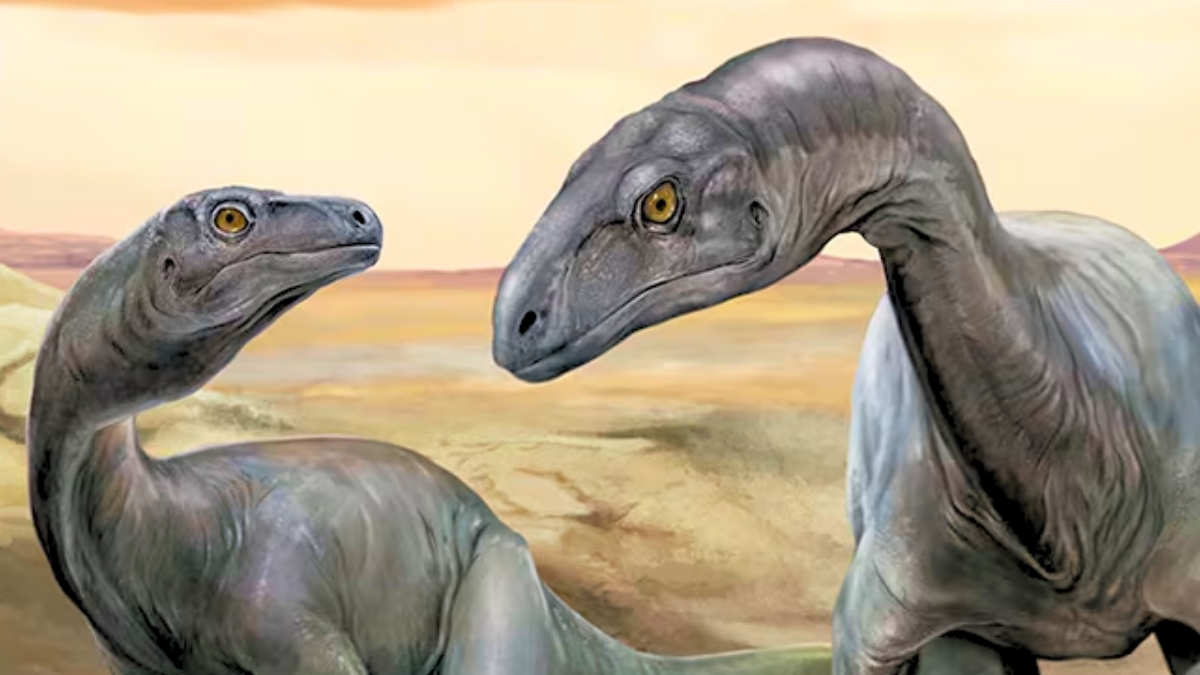 Near-Complete Fossil in Argentina Is One of The World’s Oldest Dinosaurs : ScienceAlert
