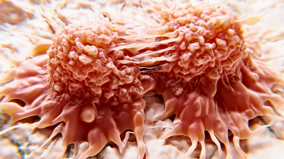 New Breakthrough Treatment Safely Kills Cancer Cells With Light : ScienceAlert