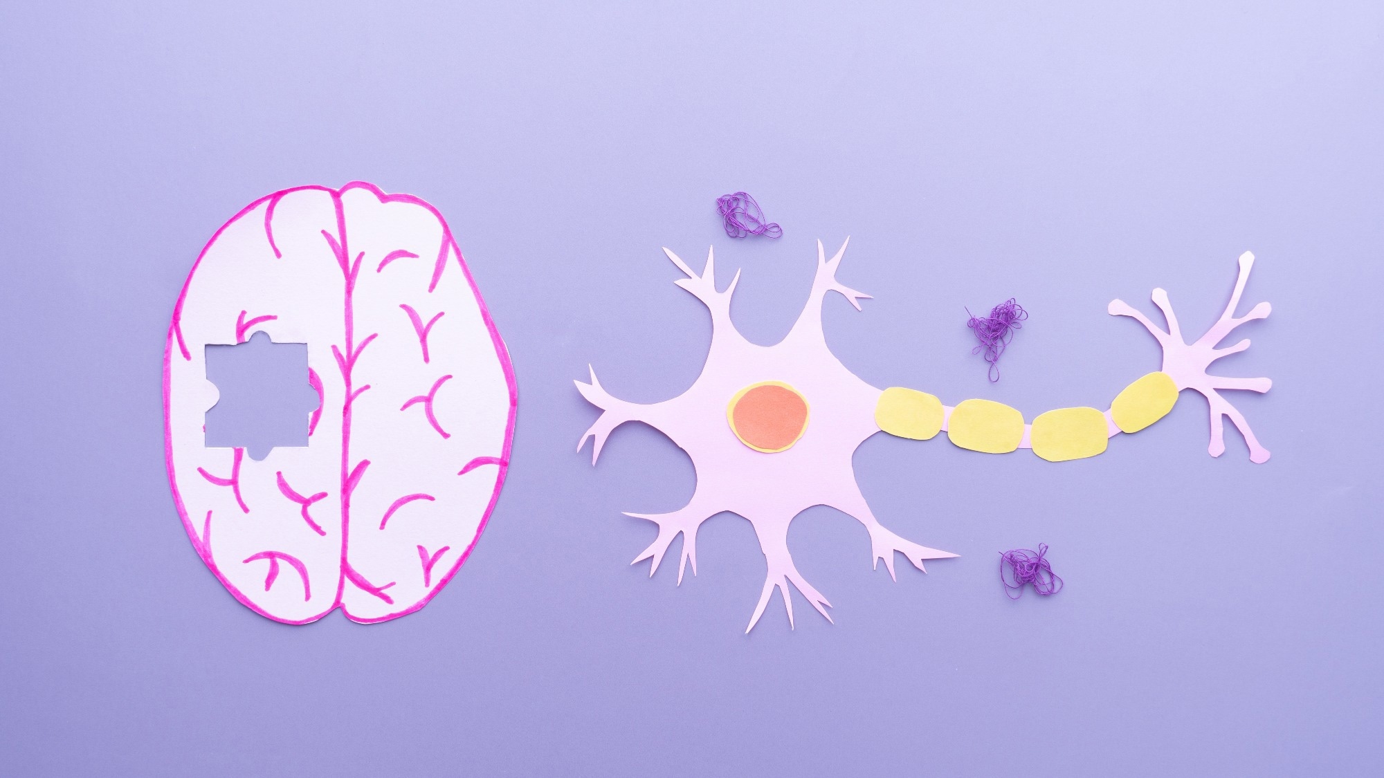 Digital test plus blood biomarker boosts accuracy of Alzheimer’s diagnosis in primary care