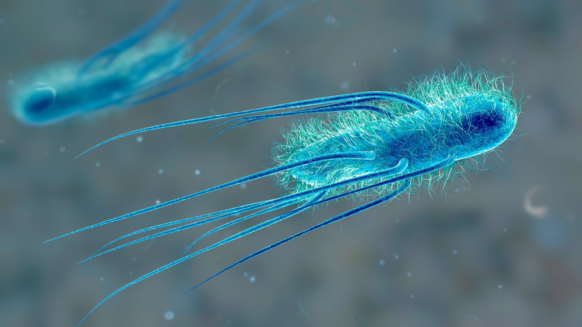 Rising antibiotic resistance is putting routine infections back in the danger zone