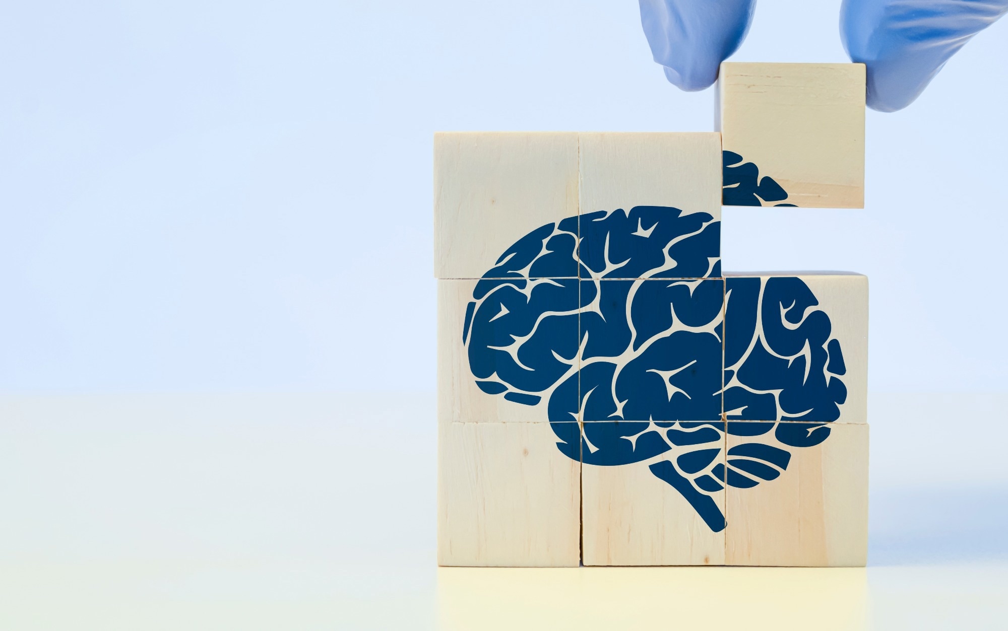 Heavy drinking fuels Alzheimer’s disease by igniting brain inflammation and protein damage