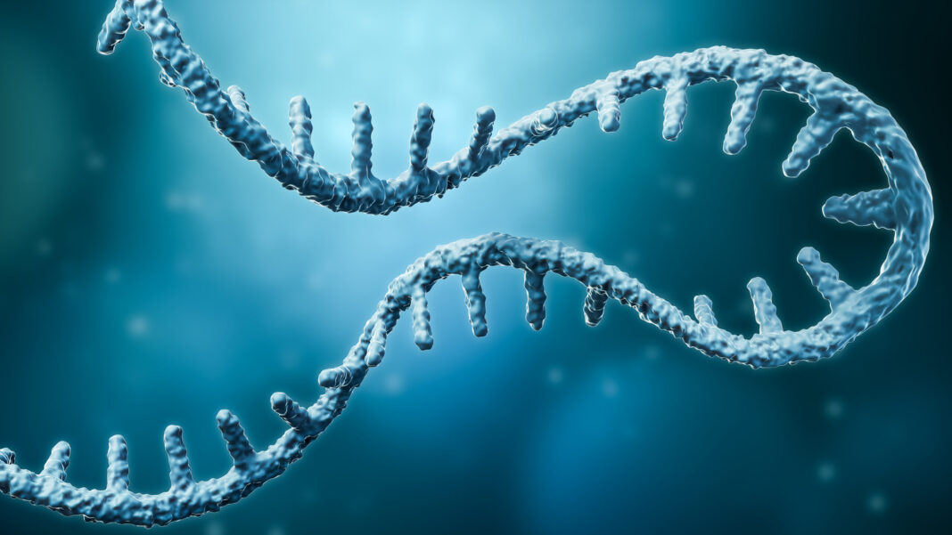 Torino Identifies mRNA Isoforms in Disease-Related Gene Expression