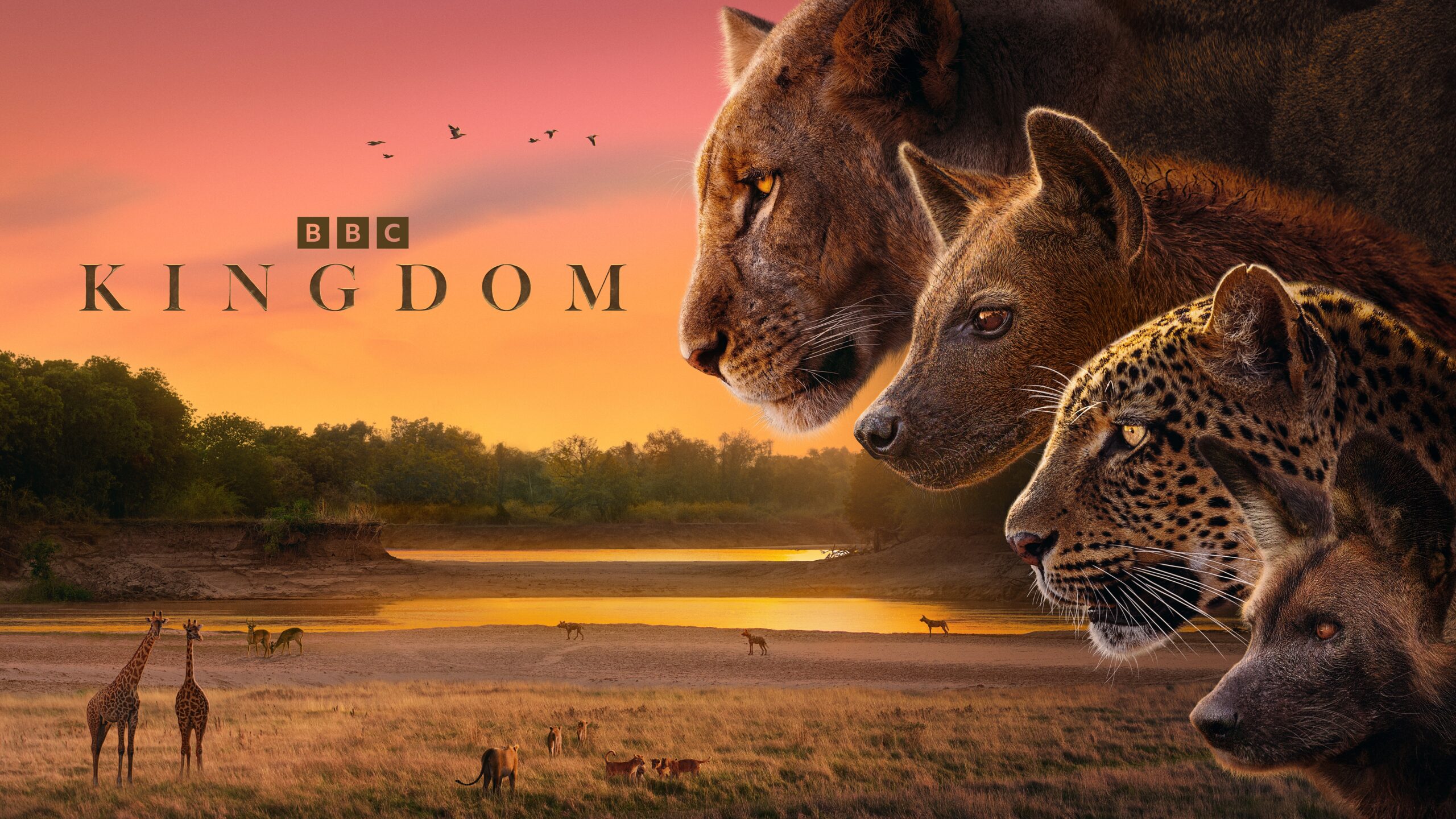 BBC Series Kingdom | BBC Earth
