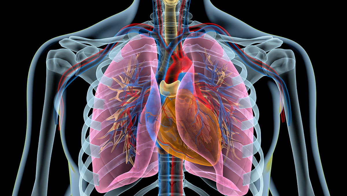 Mechanical Thrombectomy Outshines Anticoagulation Alone in STORM-PE