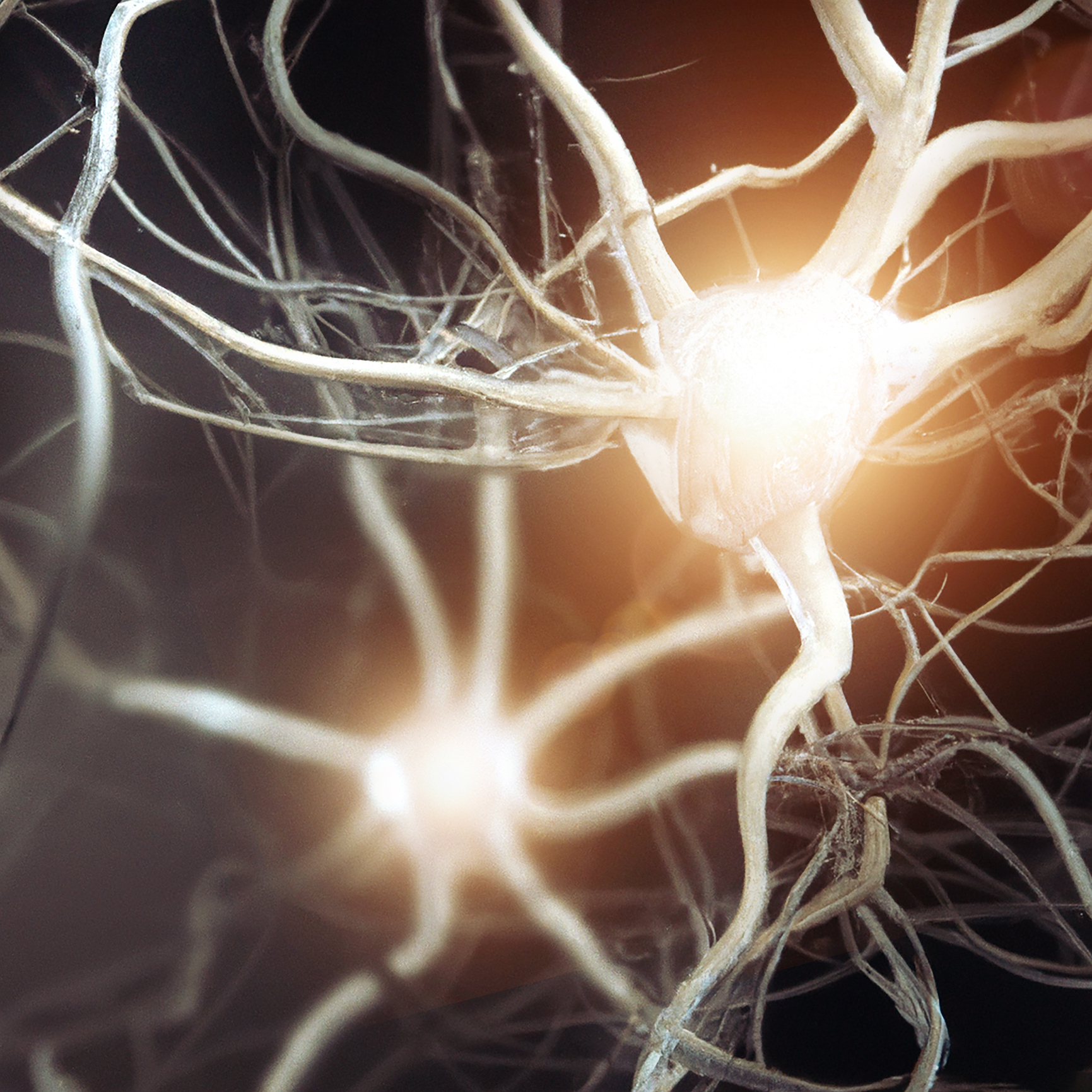 Subgroups of Interneurons Regulate Learning and Fear Responses