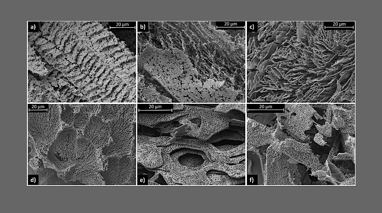 Microstructure Controls Sublimation Timescales of Exposed Salt-Rich Ices on Icy Worlds