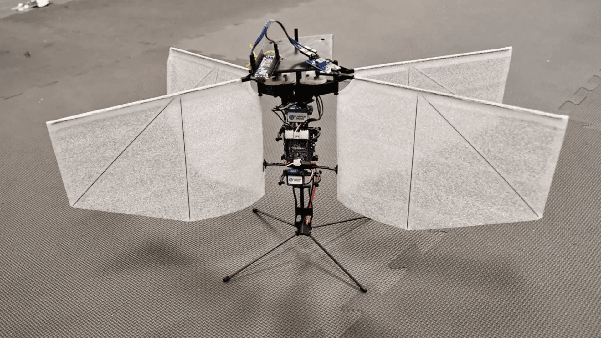 Moth-Inspired Drone Can Locate and Hover Around a Light Source
