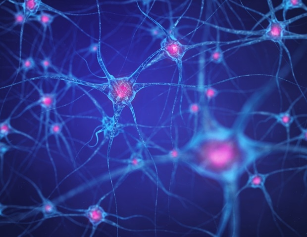 Discovery of unique brain cells sheds light on progressive multiple sclerosis