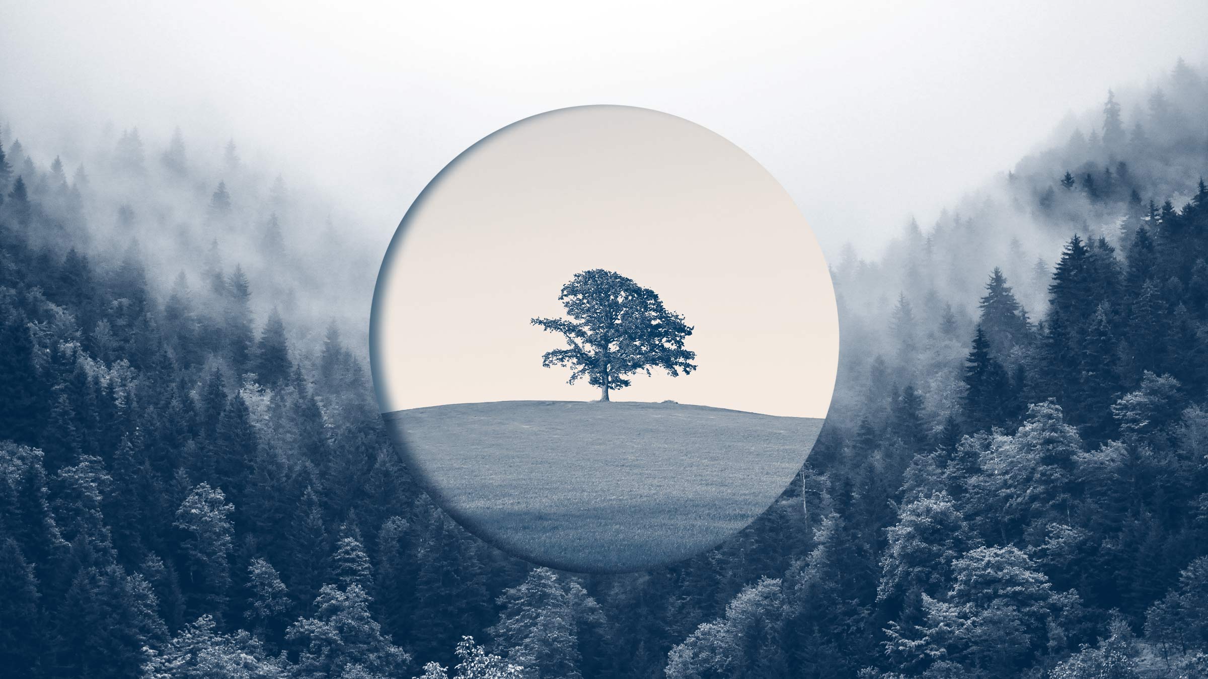 How Old Companies Can Ignite New Growth