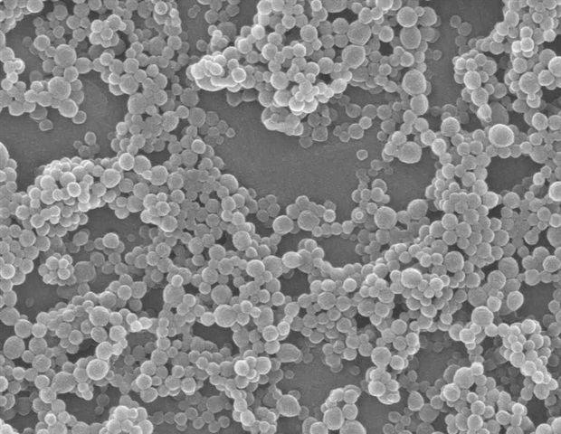 Nasal spray of gold nanoparticles delivers lithium directly to the brain