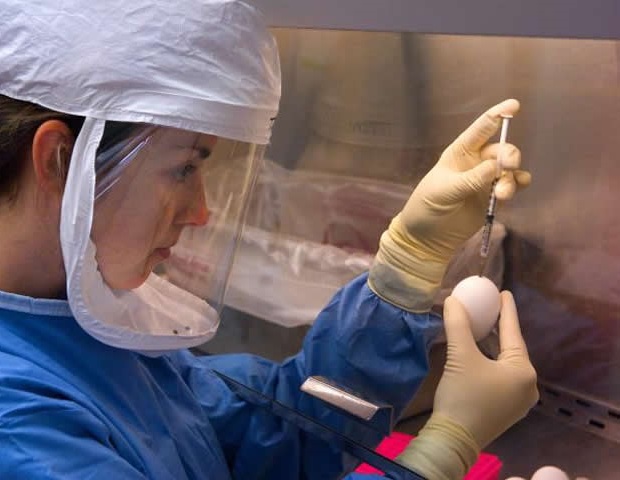 Multilateral collaboration remains key amid funding shifts in global health
