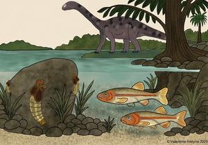 A 150-million-year-old fossil with a singular adaptation may unlock the origin of quironomids