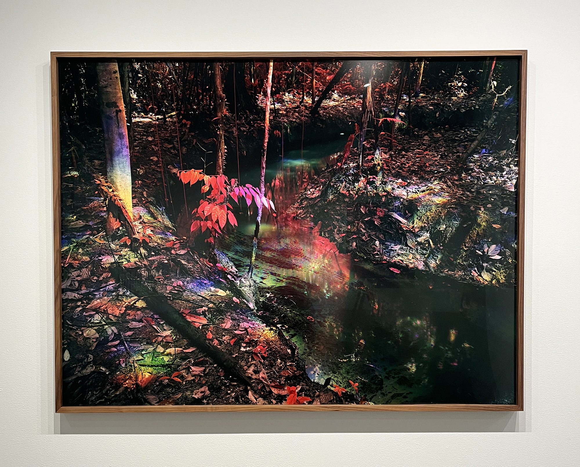 Exploring New Paths in Landscape-Based Art 