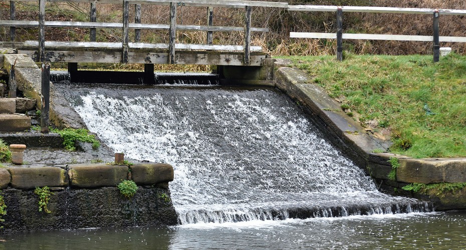Cocktails Of Common Pharmaceuticals In Our Waterways May Promote Antibiotic Resistance