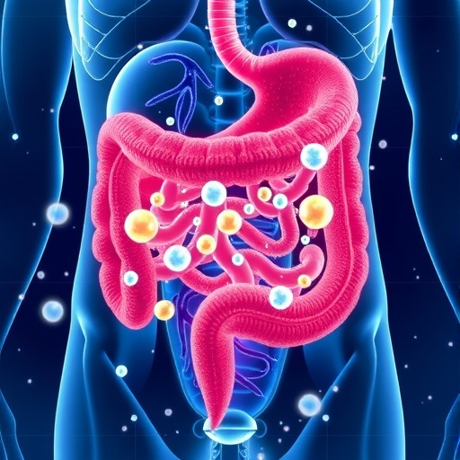 Scientists uncover hydrogen’s hidden health role in human gut