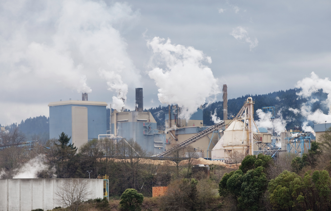 Here’s the scoop on Big Tech’s multi-million dollar carbon removal climate bet