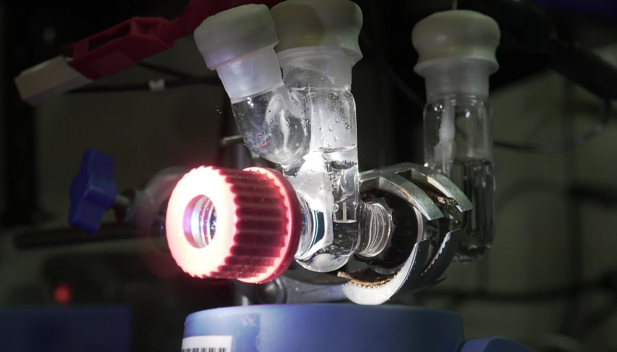 Leaf-like device for greener chemical production