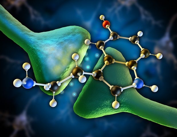 New insights into MDMA therapy for PTSD and beyond