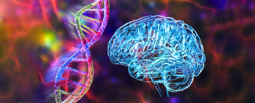 Several Psychiatric Disorders Share The Same Root Cause, Study Shows : ScienceAlert