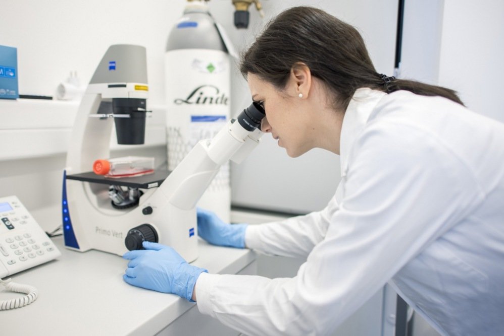 Study finds most successful IVF treatments after 40 use donor eggs
