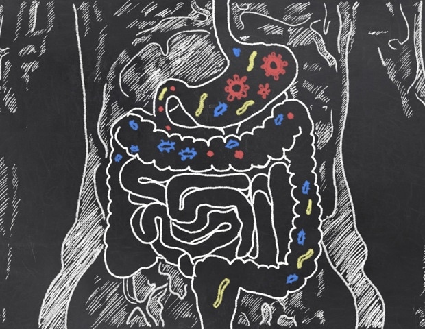 UCLA scientists uncover the role of DGRs in structuring the infant gut microbiome