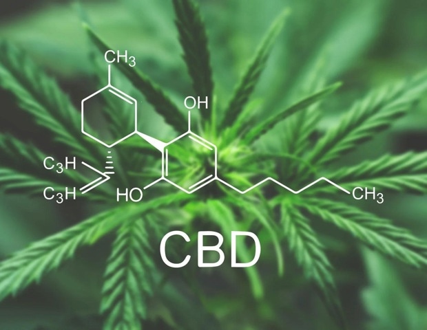 Investigating cannabidiol’s role in combating Alzheimer’s-related neuroinflammation