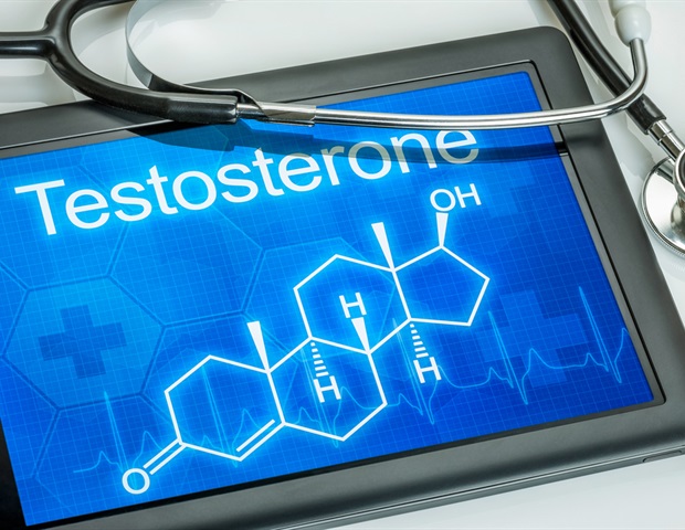 Testosterone does not alter economic decision making in men