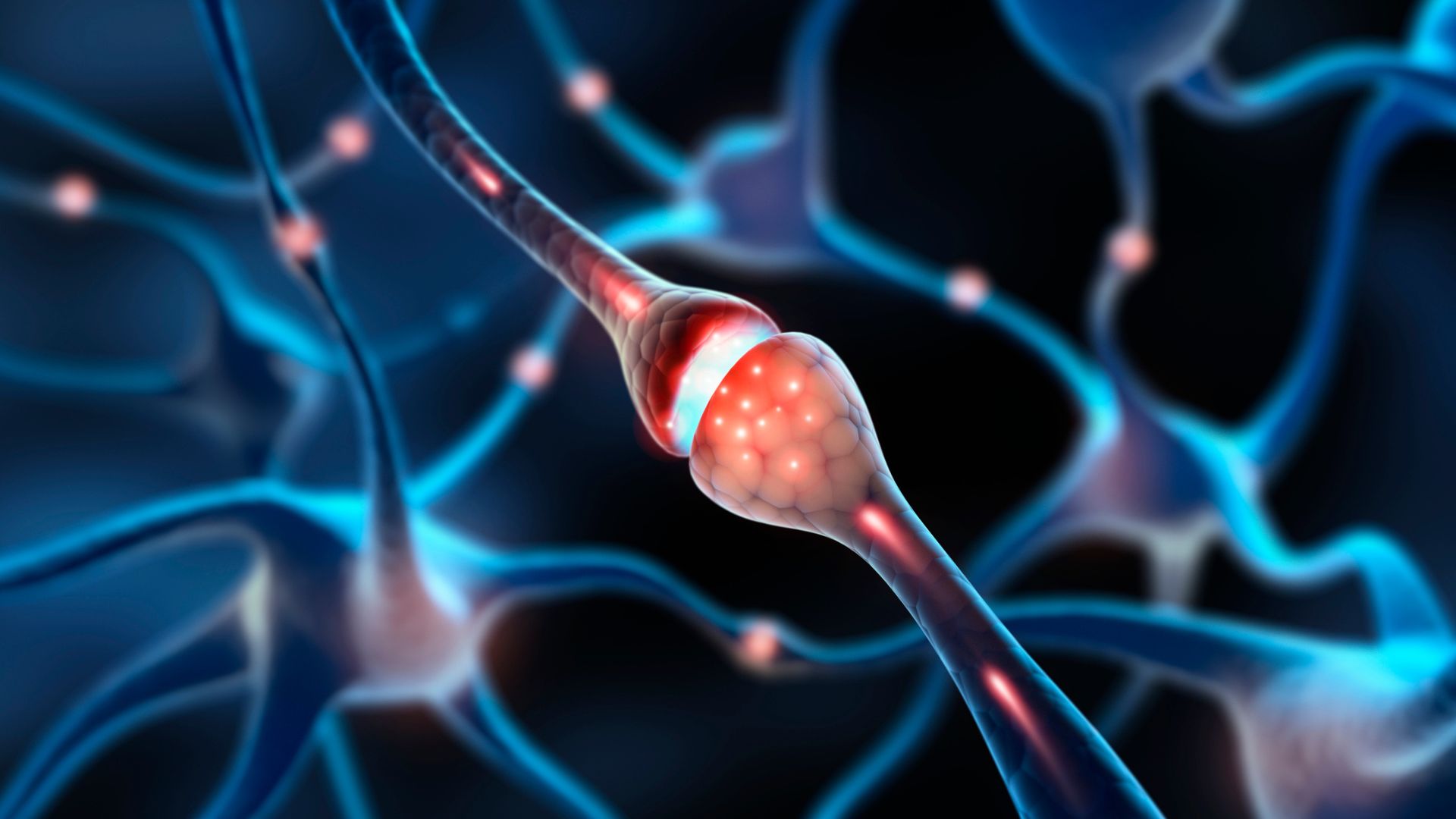 China’s cutting-edge camera captures neurons ‘kissing’ in real time