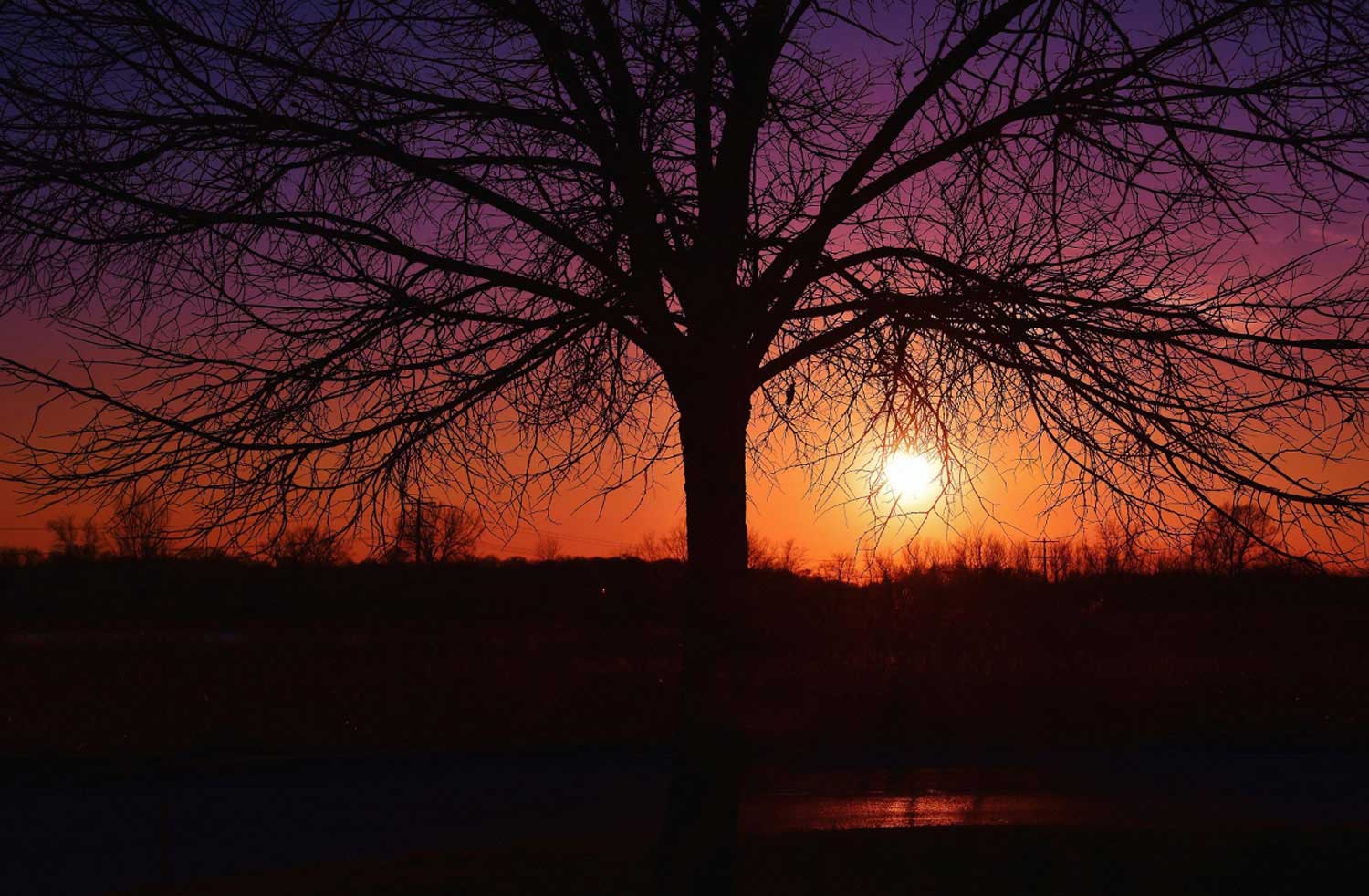 Embrace earlier sunsets with these sky-watching events in November