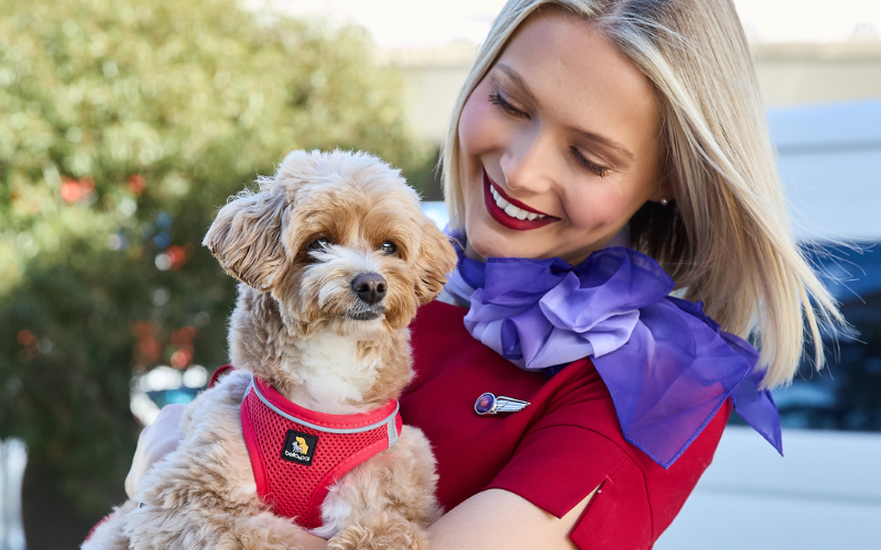 Virgin Australia makes history with Australia’s first Pets in Cabin flights