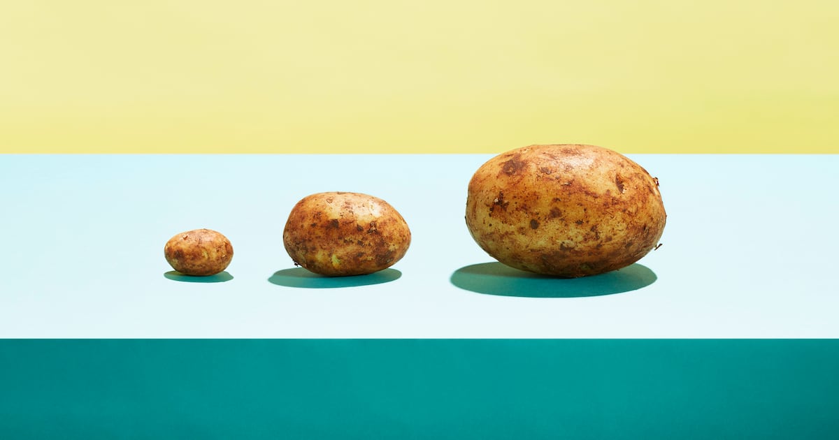 Potato protein market expansion incoming?