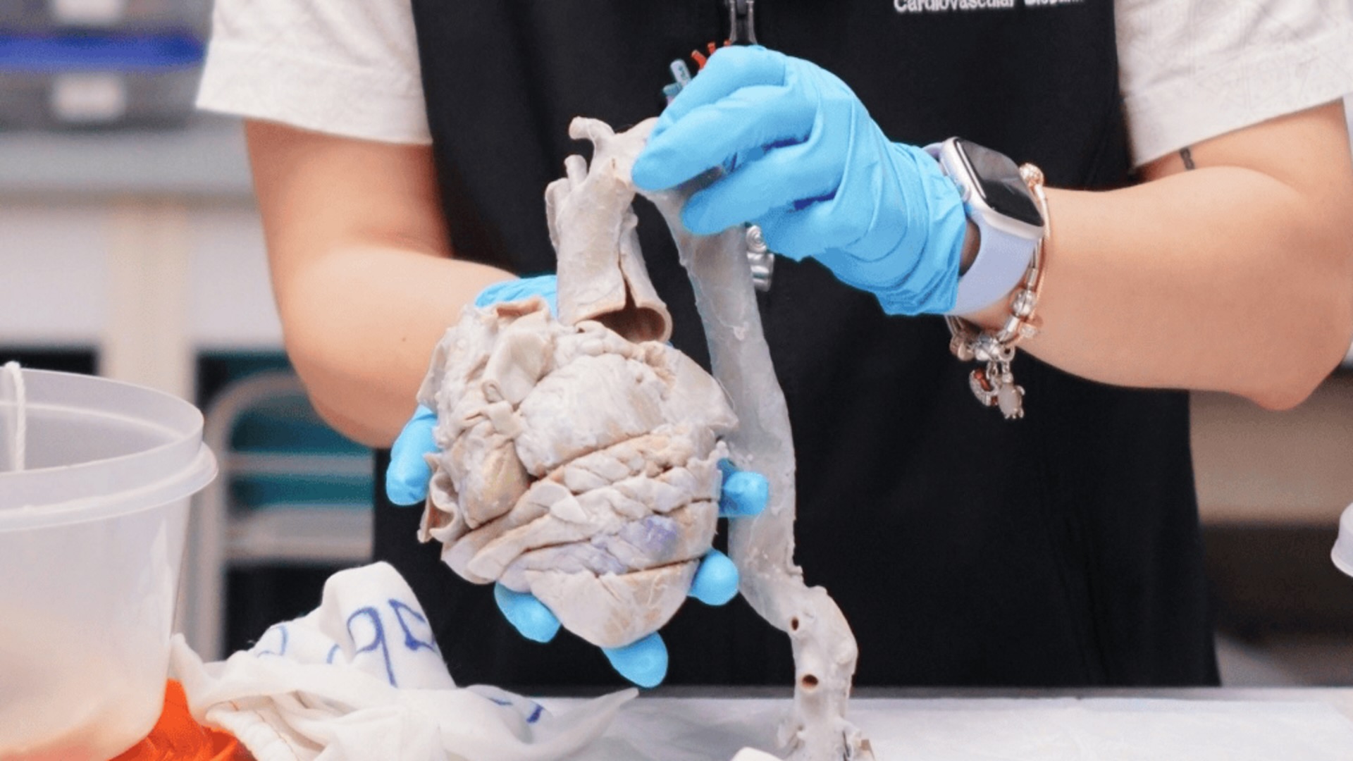 HLI researchers 3D print living heart tissue