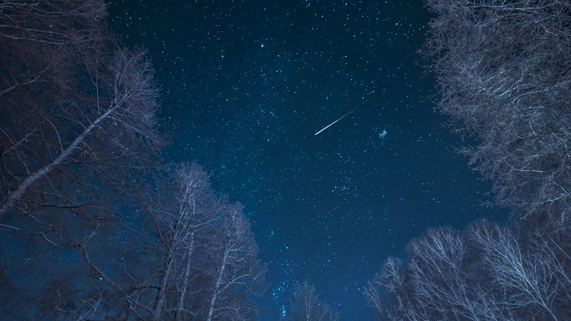 The Delta Aurigid meteor shower 2025 peaks tonight in the light of a waning gibbous moon