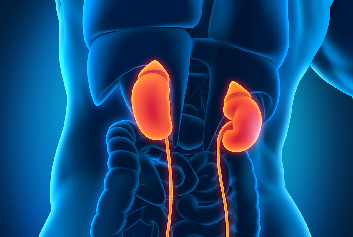 Lenvatinib/Everolimus Beats Cabozantinib in Phase 2 RCC Study