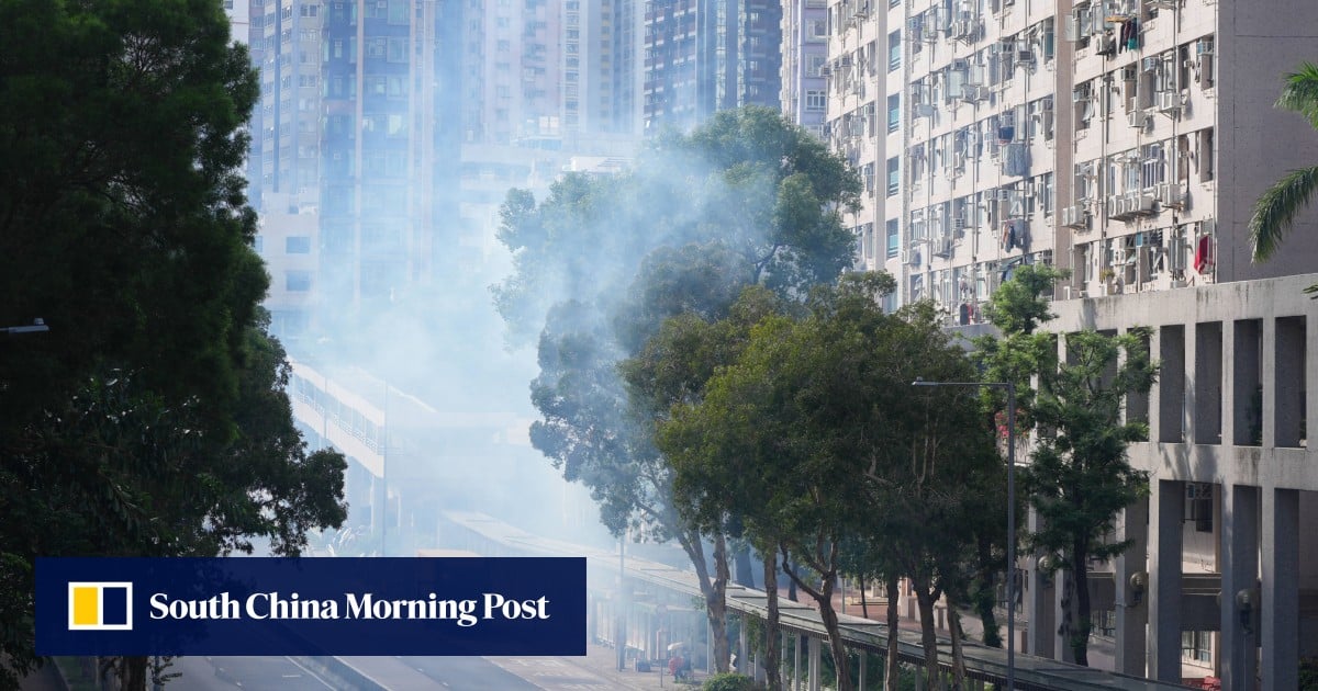 Hong Kong reports first local chikungunya fever case in at least 11 years