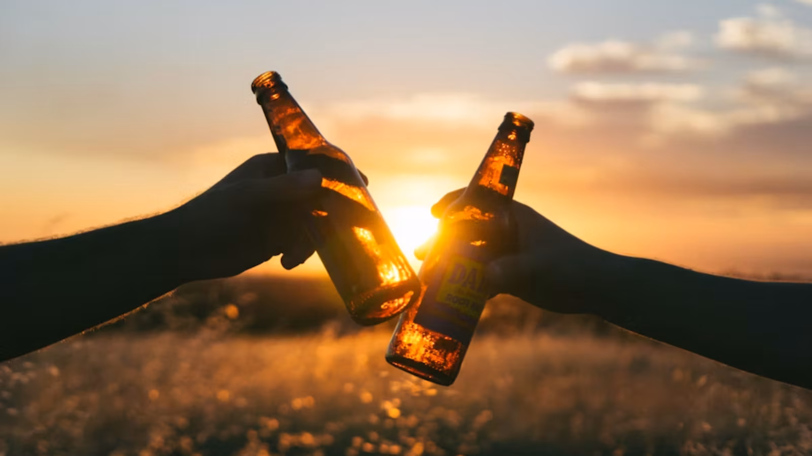 What raises dementia risk? A drink a day, even social drinking can affect brain, says new study