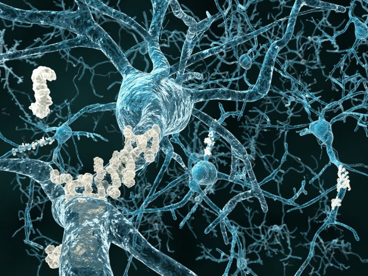 Scientists track amyloid plaques in living mice for first time