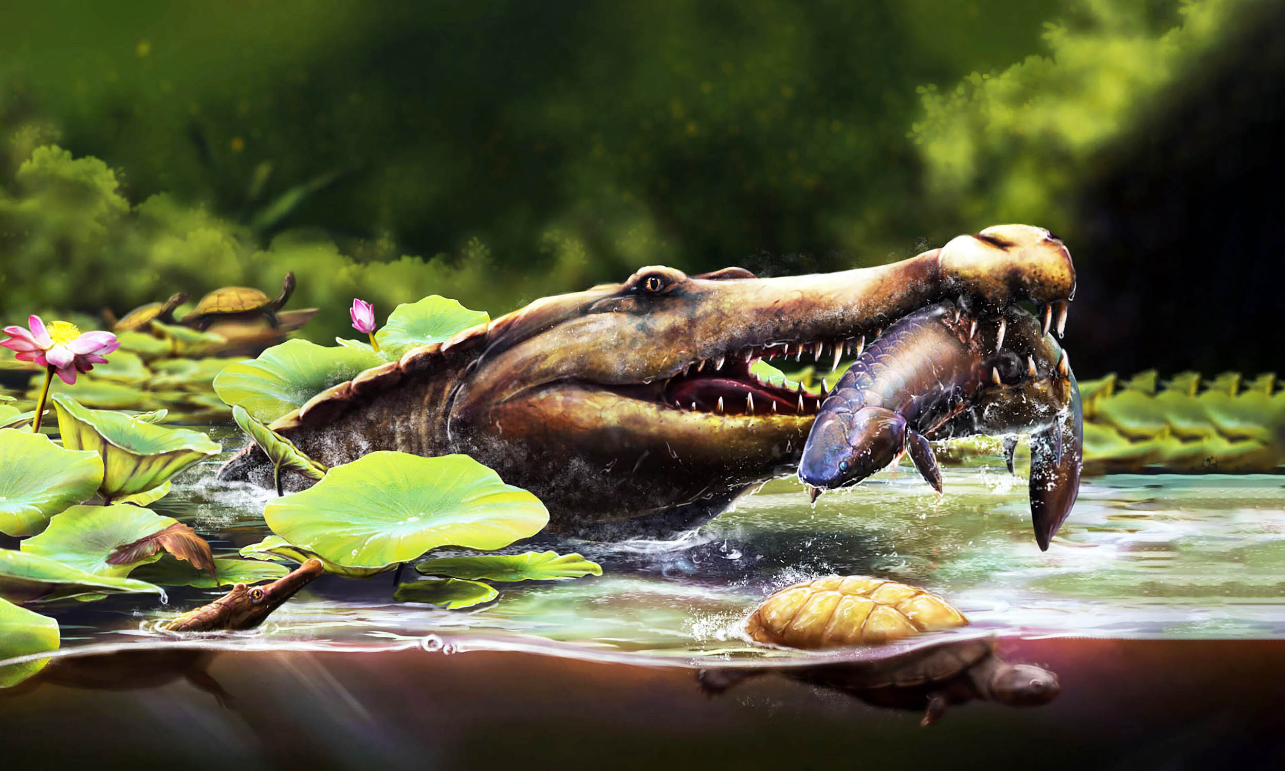 Ancient crocodile from Egypt rewrites the origins of its entire family