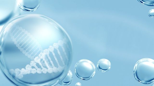 Aptamer-Based Technique Flags Senescent Cells